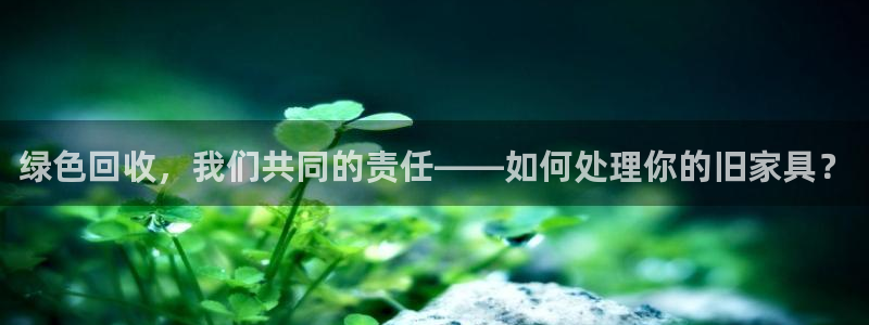 龙八国际发哥下载