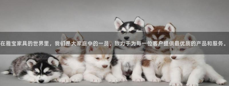 龙八国际怎么进不去了