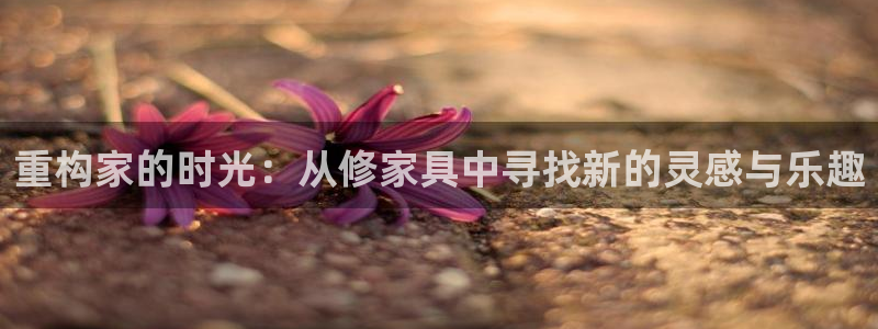 龙八国际我要登录