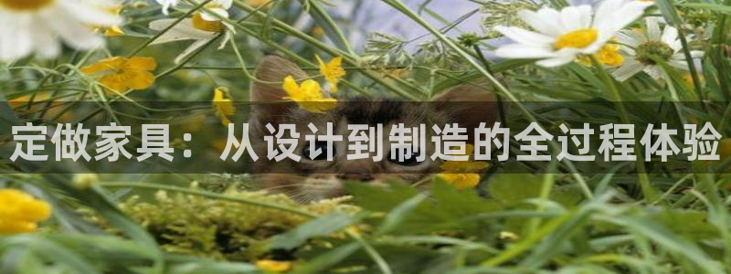 龙八国际版游戏