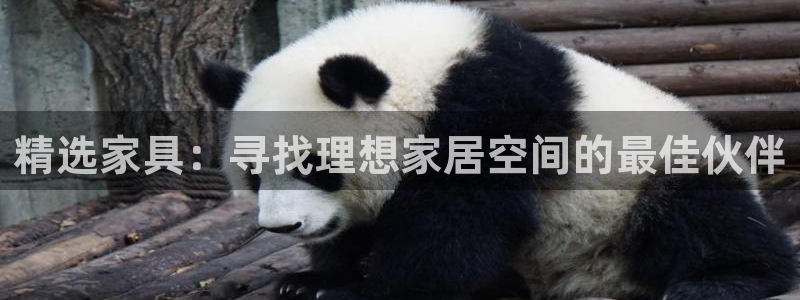 龙八国际官网苹果