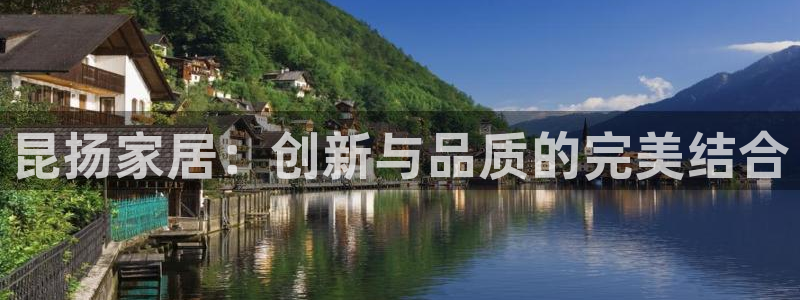 龙八国际官方手游