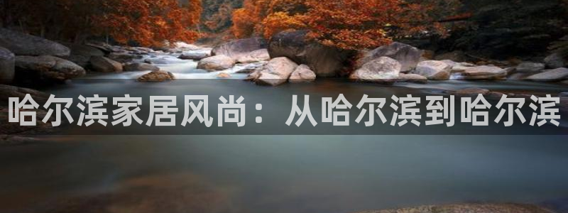 冯文戈 龙八国际集团