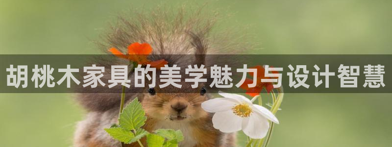 龙八国际pt娱乐