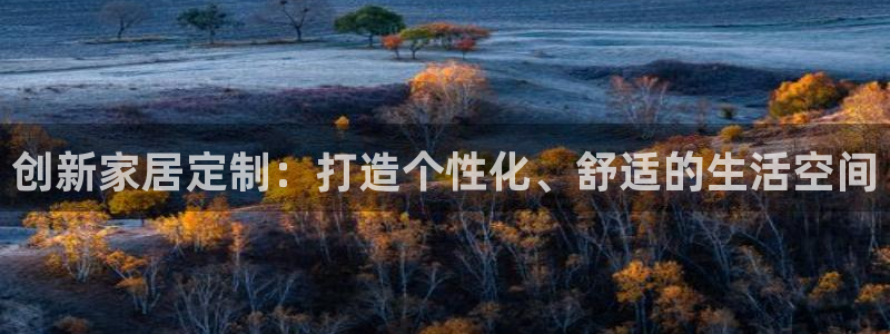 龙八国际app是什么