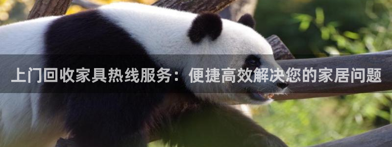 龙八国际手机app