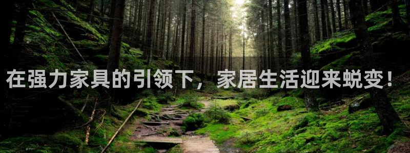 龙八国际怎么注册官网