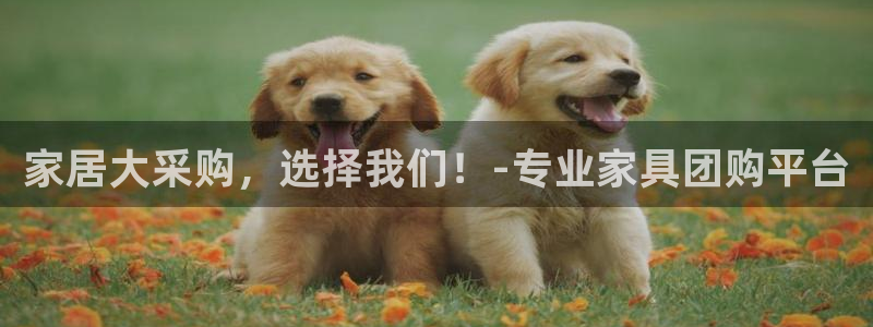 龙八国际娱乐官网