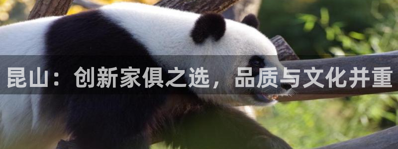 龙八国际视频网站：昆山：创新家俱之选，品质与文化并重