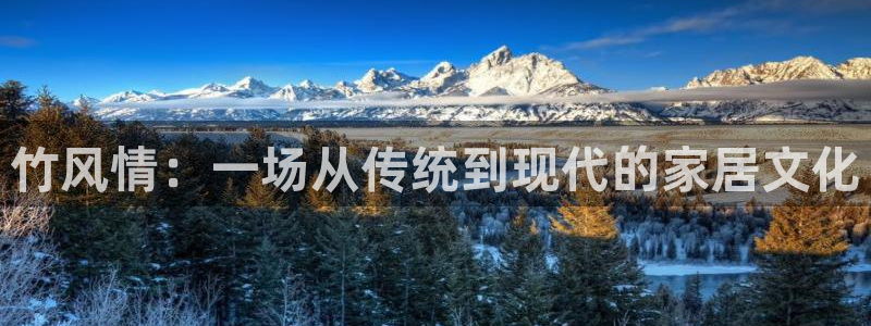 龙八国际怎么注册官网