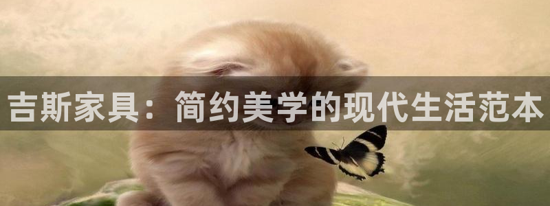 龙八国际怎么注册安卓