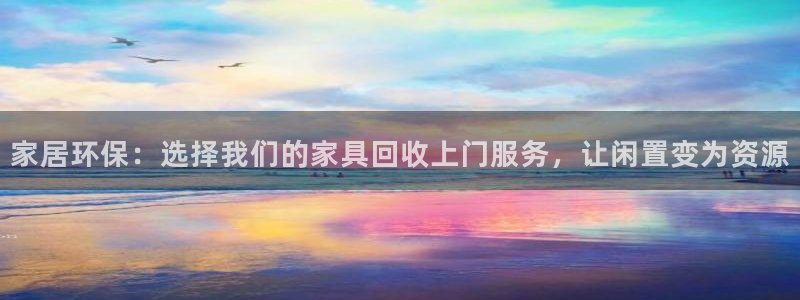 龙八国际是干什么的